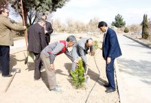 گزارش تصویری از آئیین درختکاری و تقدیر ازهمکاران فضای سبز دانشگاه